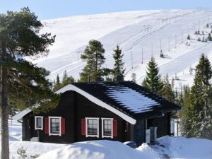 fjallripan-8a-vinter